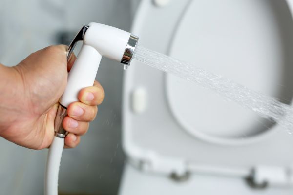 Cost of Bidet Installation in Fresno