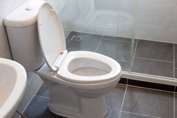 Cost of Toilet Replacement in Fresno