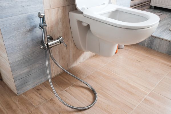 Cost of Bidet Service in Fresno