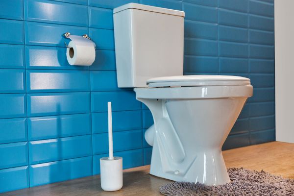 Cost of Toilet Tank Repair in Fresno