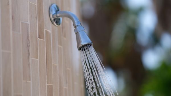 Cost of Showerhead Repair in Fresno